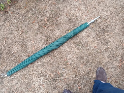 Khaki green umbrella carp - green,